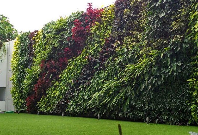 Pilihan Bunga yang Cocok untuk Vertical Garden