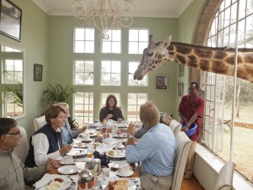 Giraffe Manor: Penginapan Eksklusif dengan Pengalaman Bertemu Jerapah yang Seru di Nairobi, Kenya