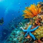 Cara Klaim Asuransi Allianz Saat Sakit di Luar Negeri