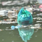 Cara Cerdas Memanfaatkan Asuransi Penyakit Kritis untuk Masa Depan