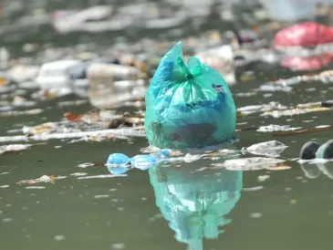 edukasi tidak membuang sampah ke sungai