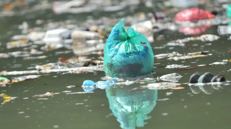 edukasi tidak membuang sampah ke sungai