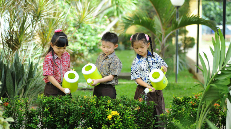 Implementasi Sekolah Adiwiyata dalam Membangun Budaya Hijau