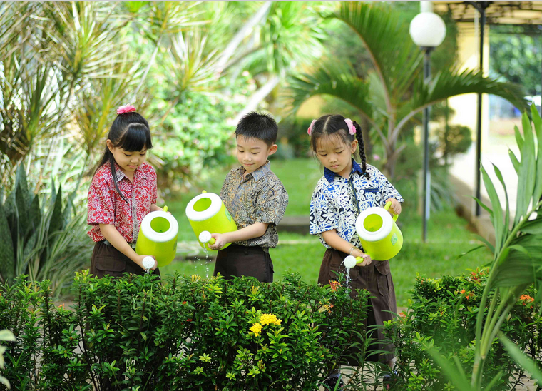 Implementasi Sekolah Adiwiyata dalam Membangun Budaya Hijau